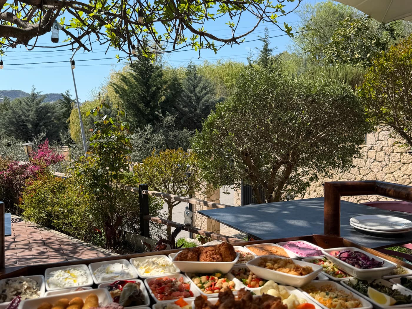 A garden table laid with traditional dishes among the trees