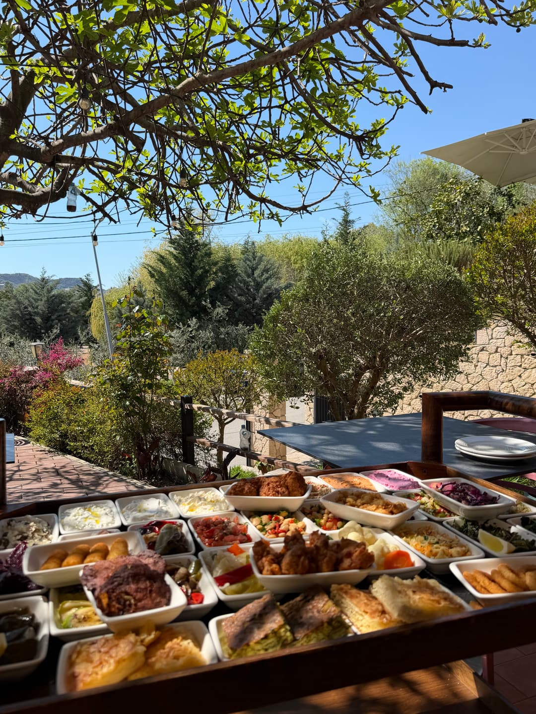 A garden table at Bujtina Jonë laid with traditional Albanian dishes, among the trees by the lake